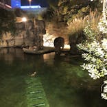 天王寺動物園に投稿された画像（2020/10/25）