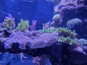 すみだ水族館に投稿された画像（2020/10/24）