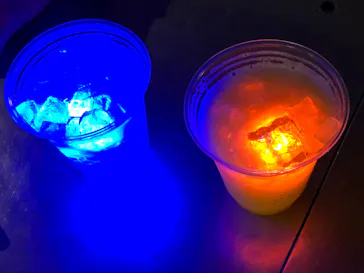 すみだ水族館に投稿された画像（2020/10/25）