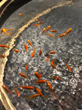 すみだ水族館に投稿された画像（2020/10/25）