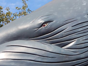 国立科学博物館に投稿された画像（2020/10/25）