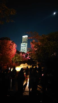 天王寺動物園に投稿された画像（2020/10/25）