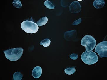 サンシャイン水族館に投稿された画像（2020/10/25）