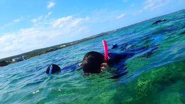 ダイビングショップ Sea Free（シーフリー）に投稿された画像（2020/10/25）