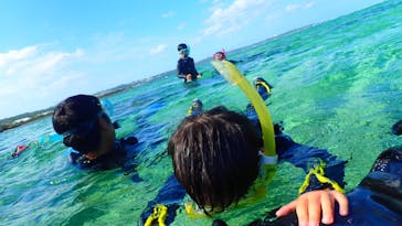 ダイビングショップ Sea Free（シーフリー）に投稿された画像（2020/10/25）