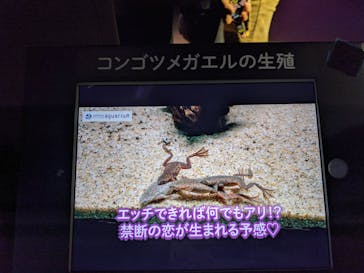 サンシャイン水族館に投稿された画像（2020/10/25）