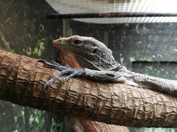 天王寺動物園に投稿された画像（2020/10/25）