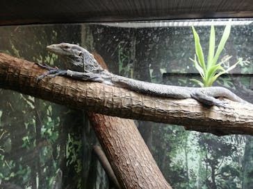 天王寺動物園に投稿された画像（2020/10/25）