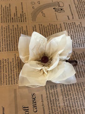 アトリエひわだやに投稿された画像（2020/10/25）