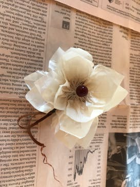 アトリエひわだやに投稿された画像（2020/10/25）