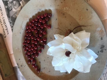 アトリエひわだやに投稿された画像（2020/10/25）