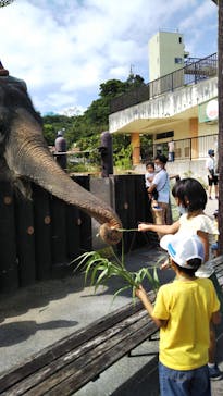 沖縄こどもの国に投稿された画像（2020/10/25）