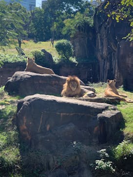 天王寺動物園に投稿された画像（2020/10/25）