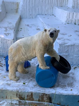 天王寺動物園に投稿された画像（2020/10/25）