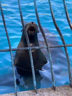 天王寺動物園に投稿された画像（2020/10/25）