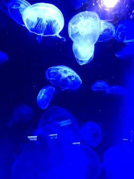 株式会社Gに投稿された画像（2020/10/25）