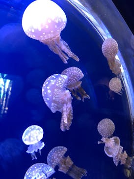 株式会社Gに投稿された画像（2020/10/25）