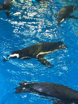 株式会社Gに投稿された画像（2020/10/25）