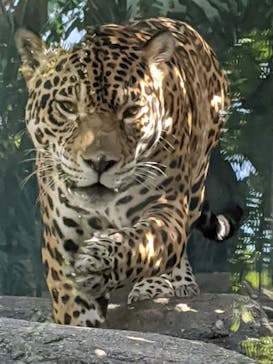 天王寺動物園に投稿された画像（2020/10/25）