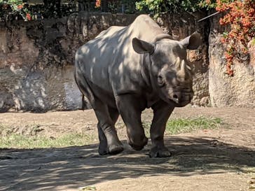 天王寺動物園に投稿された画像（2020/10/25）