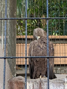 天王寺動物園に投稿された画像（2020/10/25）