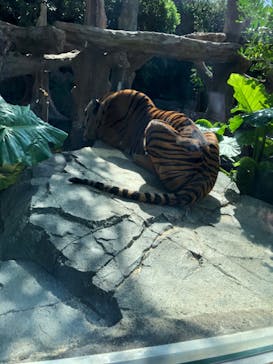 神戸どうぶつ王国に投稿された画像（2020/10/25）