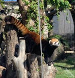 天王寺動物園に投稿された画像（2020/10/25）