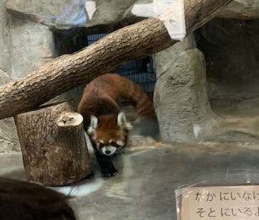 天王寺動物園に投稿された画像（2020/10/25）