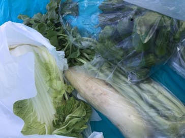 農業公園信貴山のどか村に投稿された画像（2020/10/25）