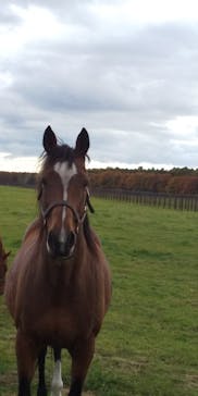 ノーザンホースパークに投稿された画像（2020/10/25）