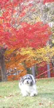 ノーザンホースパークに投稿された画像（2020/10/25）