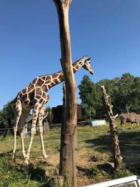 天王寺動物園に投稿された画像（2020/10/25）