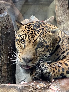 那須どうぶつ王国に投稿された画像（2020/10/25）