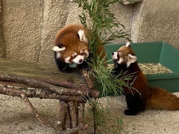 那須どうぶつ王国に投稿された画像（2020/10/25）