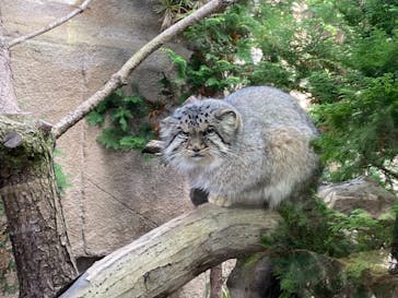 那須どうぶつ王国に投稿された画像（2020/10/25）