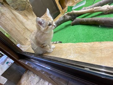 那須どうぶつ王国に投稿された画像（2020/10/25）