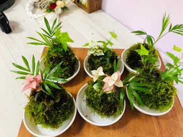 Florilege（フロリレージュ）に投稿された画像（2020/10/25）