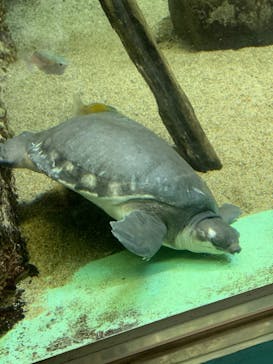 株式会社Gに投稿された画像（2020/10/25）