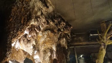 天王寺動物園に投稿された画像（2020/10/25）