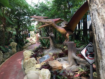 ナゴパイナップルパークに投稿された画像（2020/10/25）