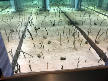 すみだ水族館に投稿された画像（2020/10/25）