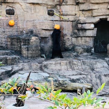 天王寺動物園に投稿された画像（2020/10/25）