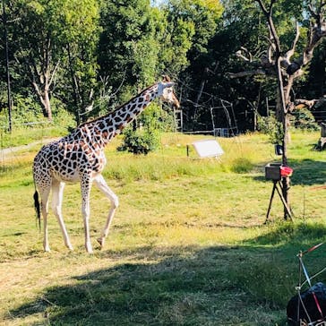 天王寺動物園に投稿された画像（2020/10/25）
