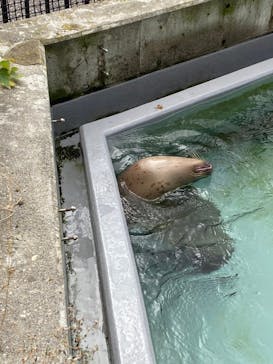 旭川市旭山動物園に投稿された画像（2020/10/25）