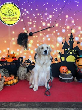 わんダフルネイチャーヴィレッジに投稿された画像（2020/10/25）