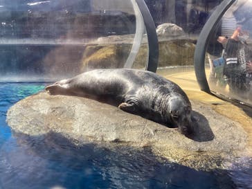 鳥羽水族館に投稿された画像（2020/10/25）