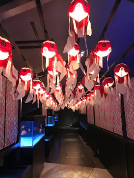 すみだ水族館に投稿された画像（2020/10/25）