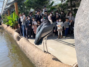 神戸どうぶつ王国に投稿された画像（2020/10/25）