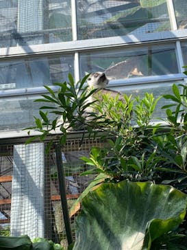 神戸どうぶつ王国に投稿された画像（2020/10/25）