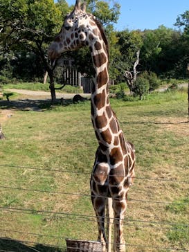 天王寺動物園に投稿された画像（2020/10/25）